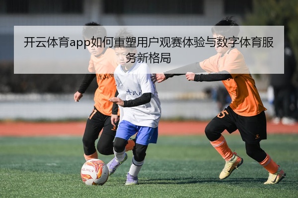 img_1777511037233_17_1_711.jpg
